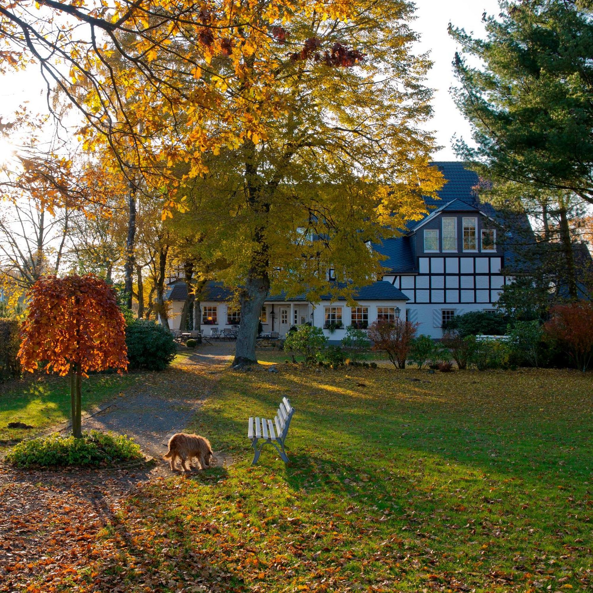 Hotel Waldhaus Foeckinghausen Bestwig Luaran gambar
