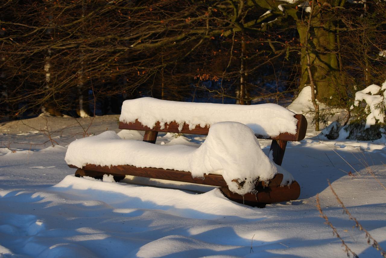 Hotel Waldhaus Foeckinghausen Bestwig Luaran gambar